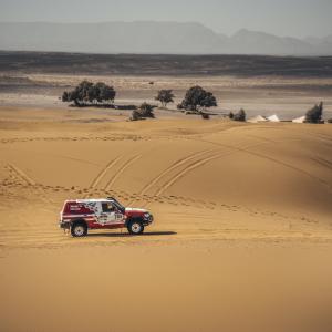 _ALX2753-2.jpg