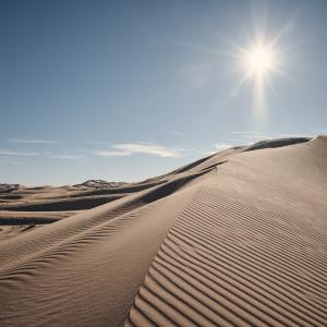 ALEXIS BLONDEL_DSE0772.jpg