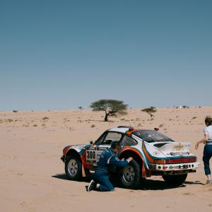 DELESTRE Maxime_300 Erik Dr. Brandenburg-Marnie Brandenburg_MDE_3922.jpg