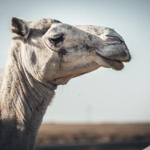 Flore Layole - _ALX1744.jpg