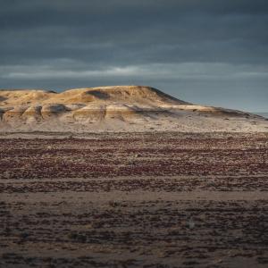 Flore Layole - _ALX8829.jpg