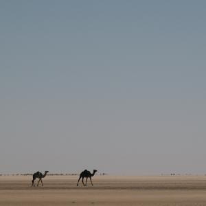 DELESTRE Maxime__MDE_4389.jpg