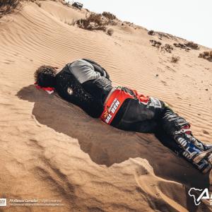 _ALX8267.jpg