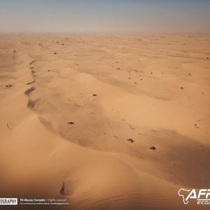 DJI_0335.jpg