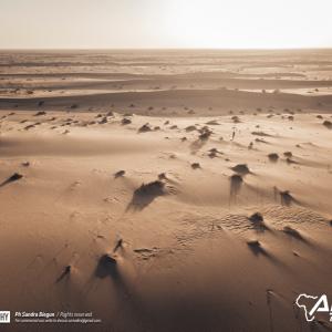 DJI_0416.jpg
