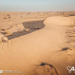 DJI_0465.jpg