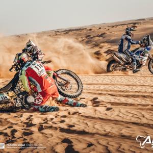 _ALX0217.jpg