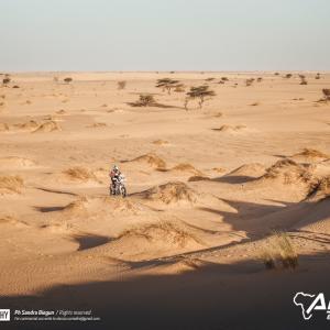 _ALX0359.jpg