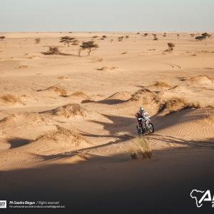 _ALX0364.jpg