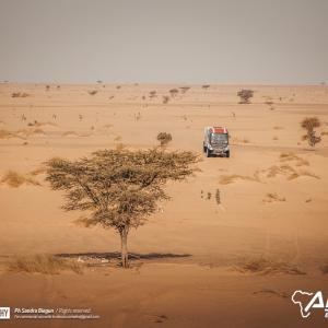 _ALX0946.jpg