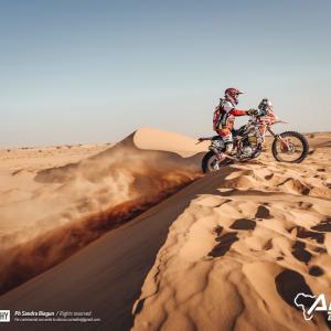 _ALX9846-2.jpg