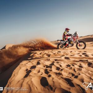 _ALX9865-2.jpg