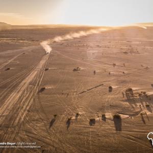 DJI_0396.jpg