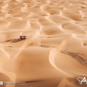 _ALX4464-2.jpg