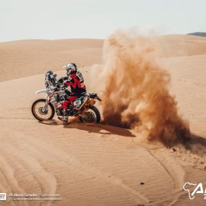 _ALX8771.jpg
