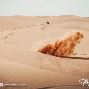 _ALX8846.jpg