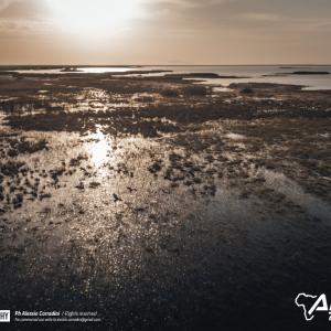 DJI_0794.jpg