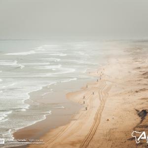_ALX0346.jpg