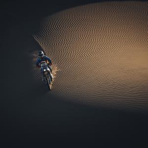 _ALX8081.jpg