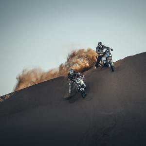 _ALX8178.jpg