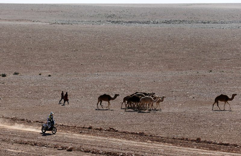 Africa Eco Race 2015 — 18