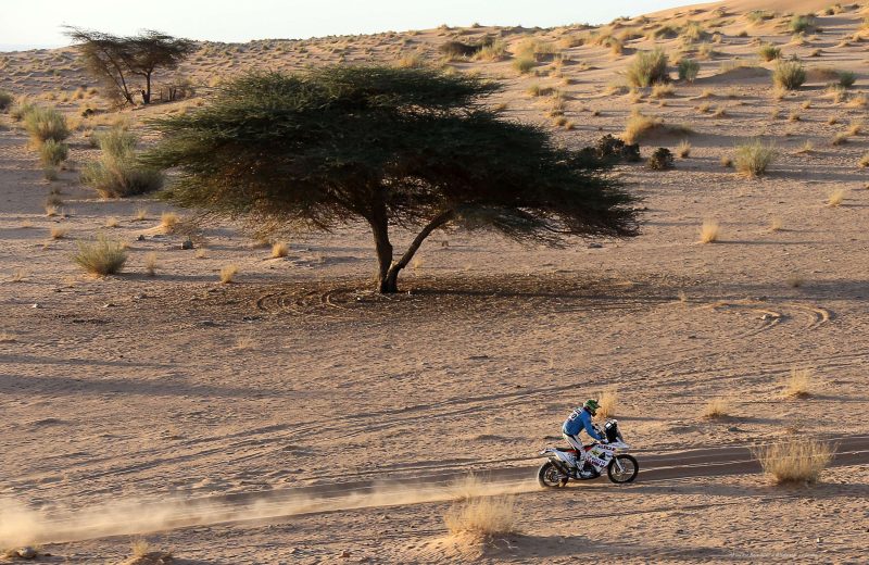 Africa Eco Race 2015 — 43
