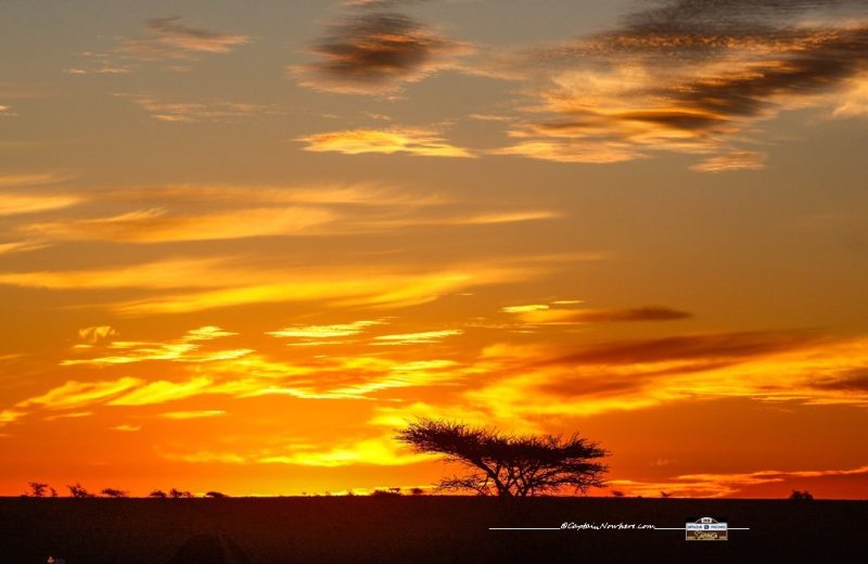 Africa Race 2018 – Etape N°3 : Agdal /Assa — 41