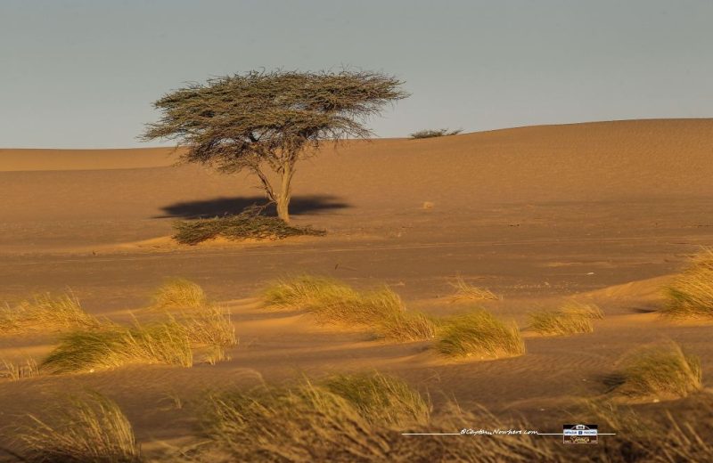 Africa Race 2018 – Etape N°8 : Chami / Amodjar — 3