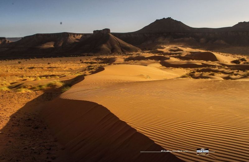 Africa Race 2018 – Etape N°10 : Amodjar / Akjoujt — 46