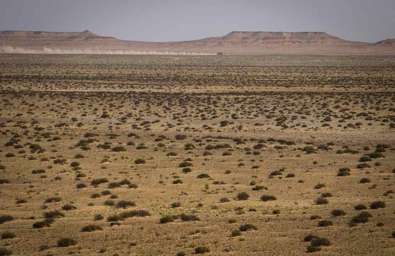 Africa Race 2019 – Stage #5 : Fort Chacal/Dakhla — 56