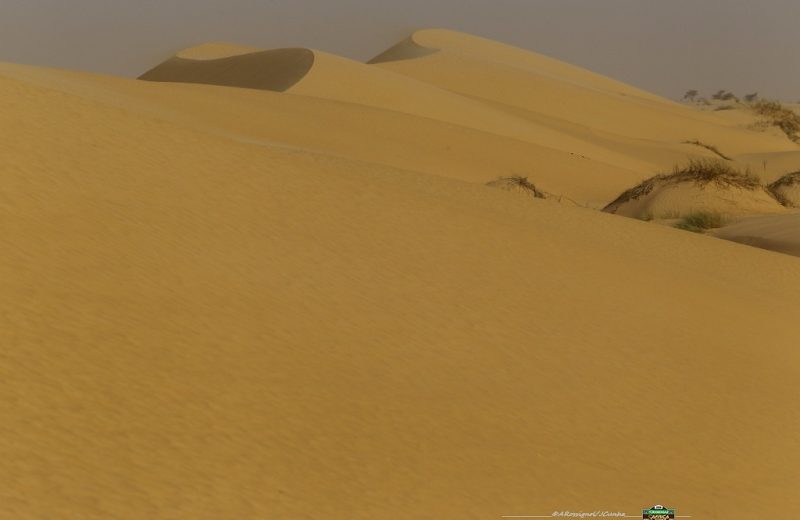 Africa Race 2019 – Stage #7 : Chami/Chami — 91