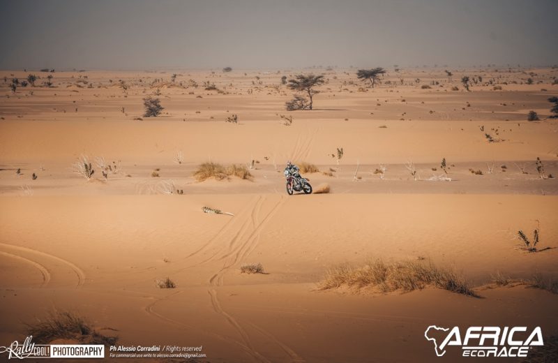 Africa Race 2019 – Stage #7 : Chami/Chami — 206