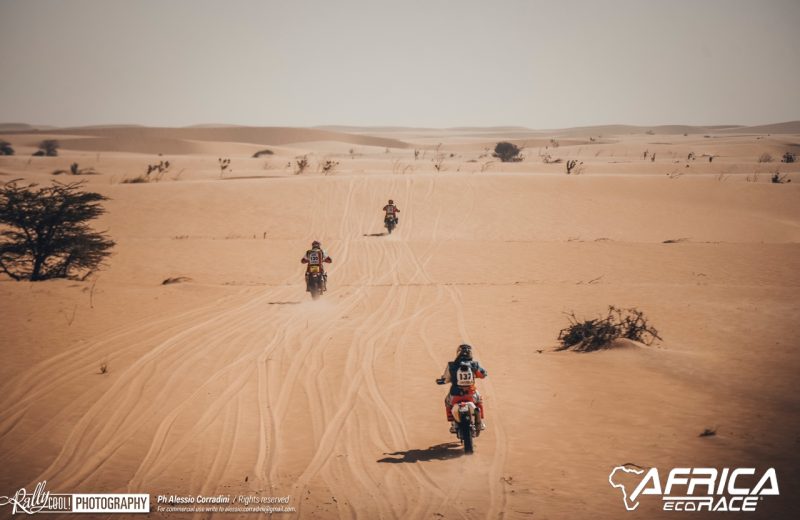 Africa Race 2019 – Stage #7 : Chami/Chami — 185