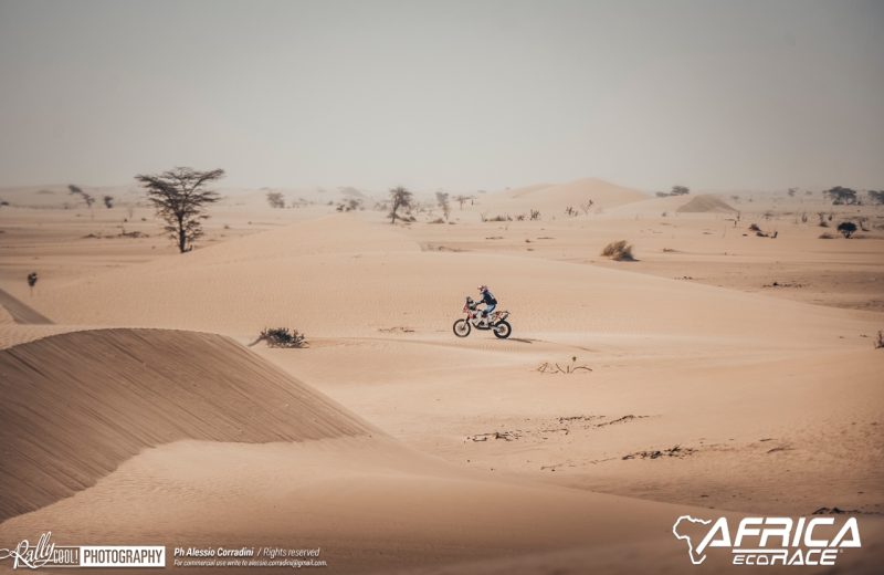 Africa Race 2019 – Stage #7 : Chami/Chami — 191