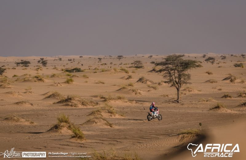 Africa Race 2019 – Stage #8 : Chami/Amodjar — 108