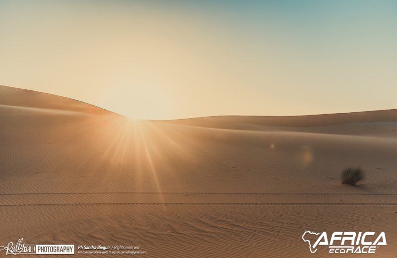 Africa Race 2019 – Stage #8 : Chami/Amodjar — 125