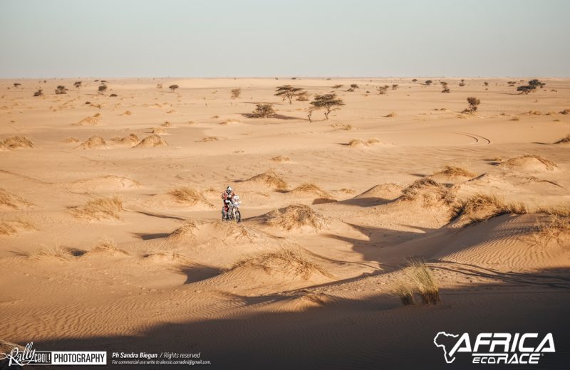 Africa Race 2019 – Stage #8 : Chami/Amodjar — 238