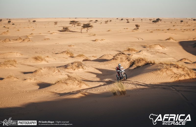Africa Race 2019 – Stage #8 : Chami/Amodjar — 246