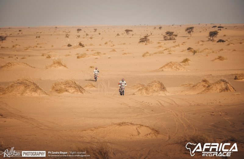 Africa Race 2019 – Stage #8 : Chami/Amodjar — 170