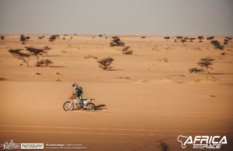 Africa Race 2019 – Stage #8 : Chami/Amodjar — 231