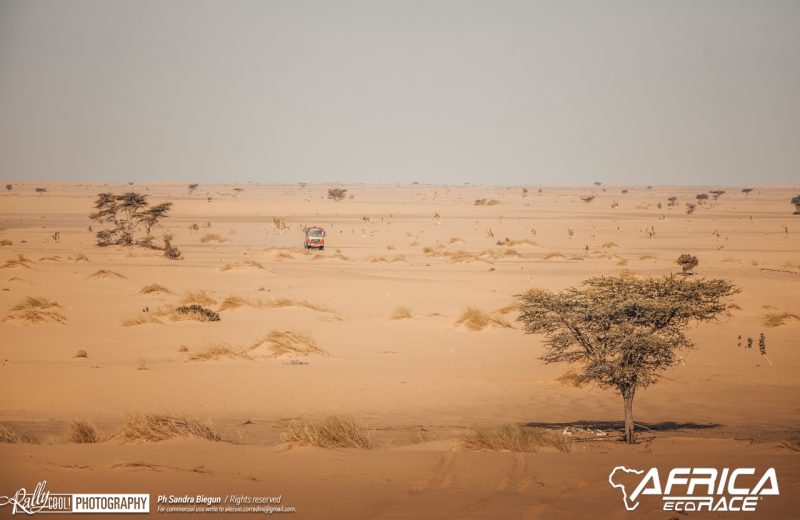 Africa Race 2019 – Stage #8 : Chami/Amodjar — 199