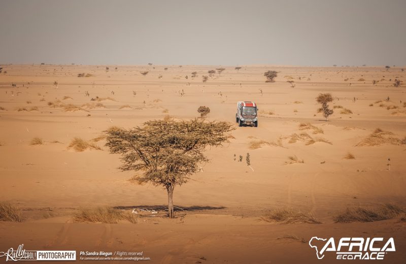 Africa Race 2019 – Stage #8 : Chami/Amodjar — 239