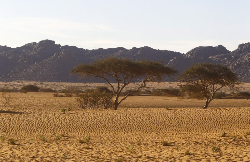 Africa Race 2019 – Stage #9 : Amodjar/Amodjar — 209