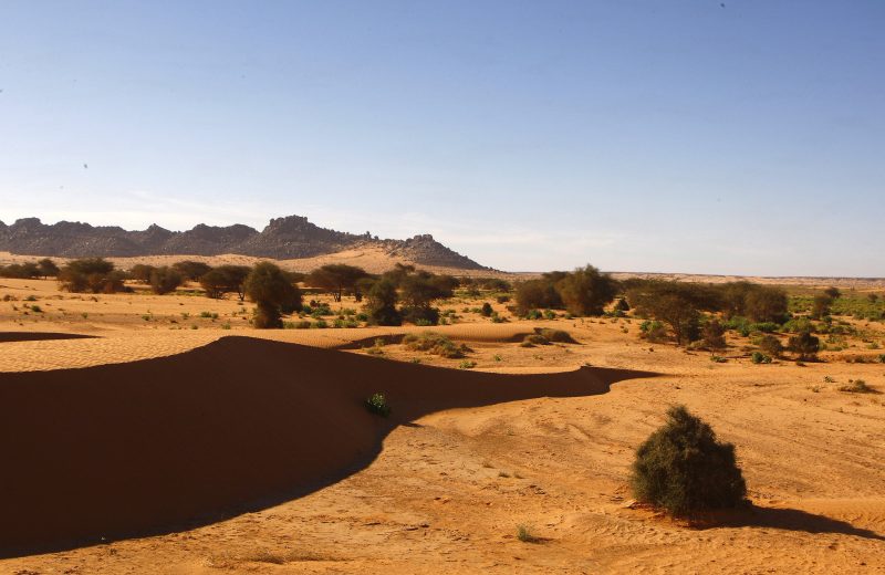 Africa Race 2019 – Stage #9 : Amodjar/Amodjar — 208