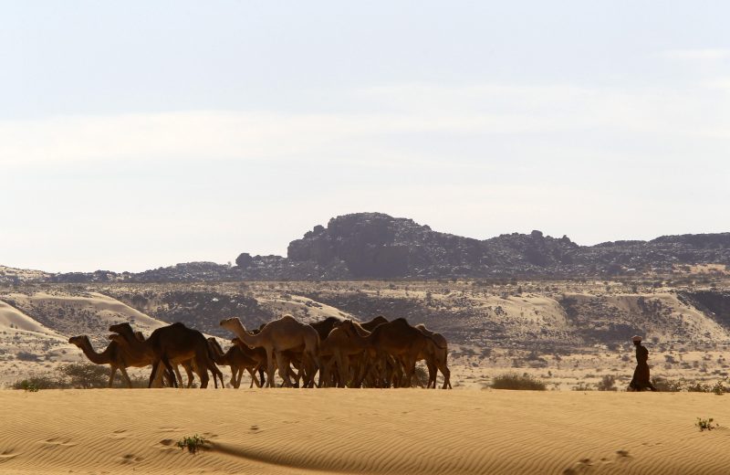 Africa Race 2019 – Stage #9 : Amodjar/Amodjar — 198