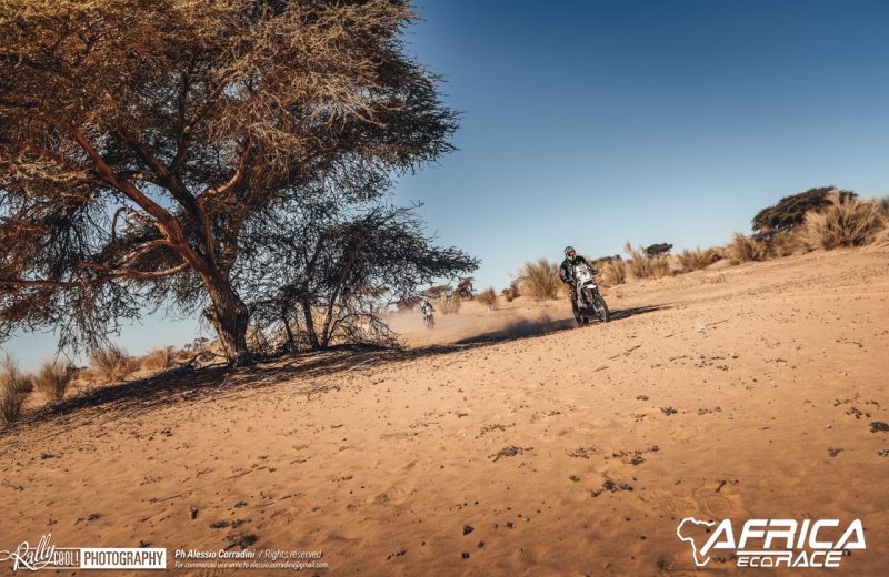 Africa Race 2019 – Stage #9 : Amodjar/Amodjar — 44