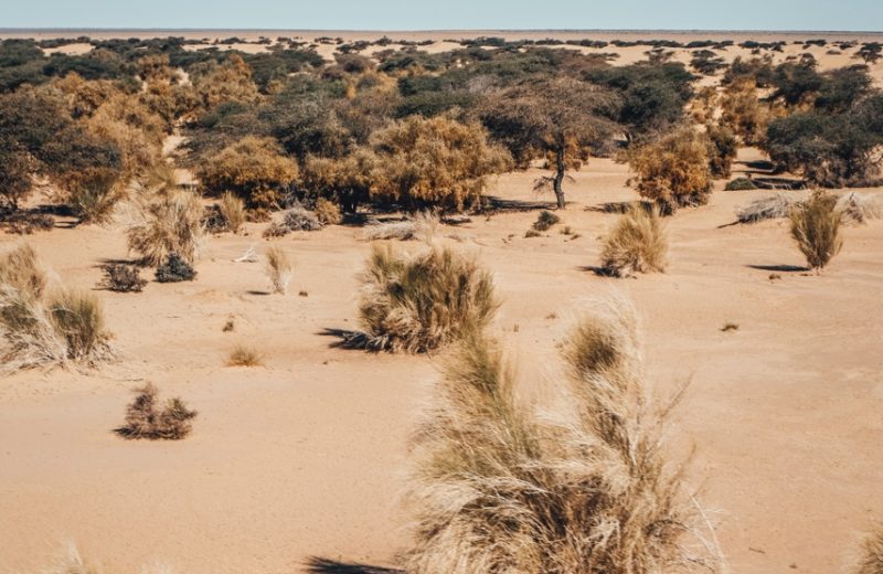 Africa Race 2019 – Stage #9 : Amodjar/Amodjar — 74