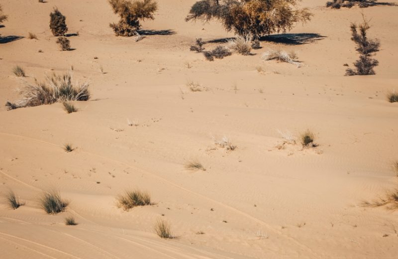 Africa Race 2019 – Stage #9 : Amodjar/Amodjar — 14
