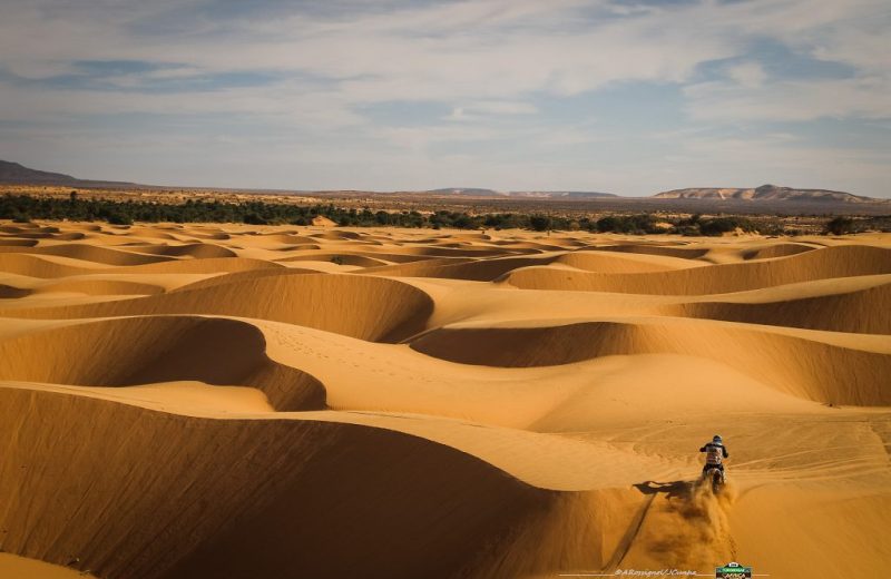 Africa Race 2019 – Stage #10 : Amodjar/Akjoujt — 105