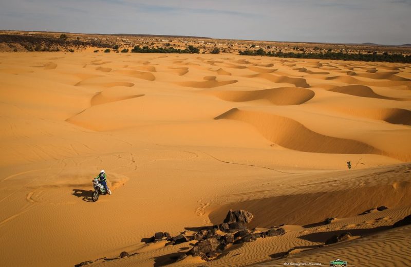 Africa Race 2019 – Stage #10 : Amodjar/Akjoujt — 95